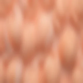 peach background wallpaper