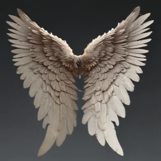 realistic angel wings png