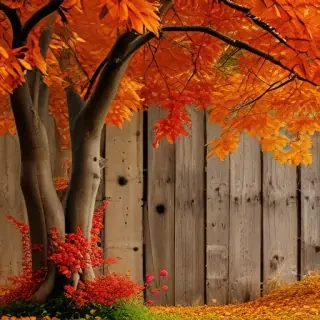 autumn wallpaper phone