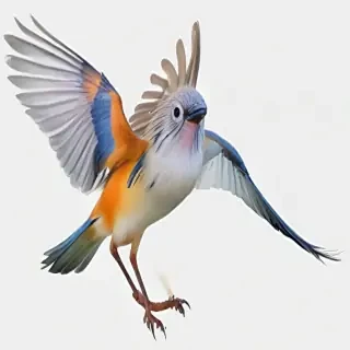bird transparent