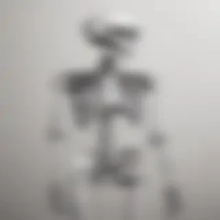 creative skeleton drawings