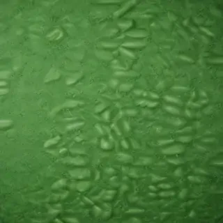background green texture