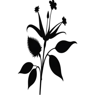 flower silhouette png