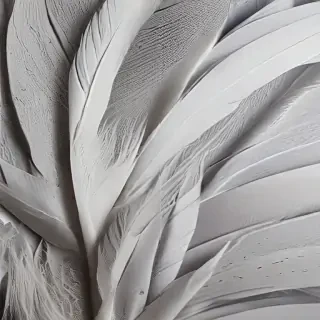 feather background