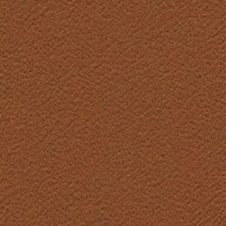 brown ig highlight cover