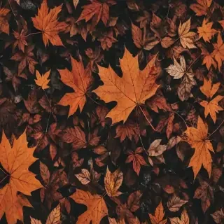 fall wallpaper iphone aesthetic