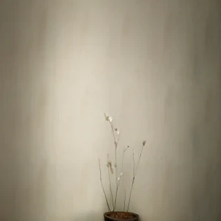 wallpaper with thoughts