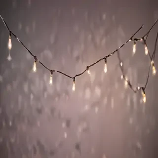 fairy lights png