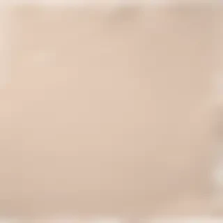aesthetic ripped paper png