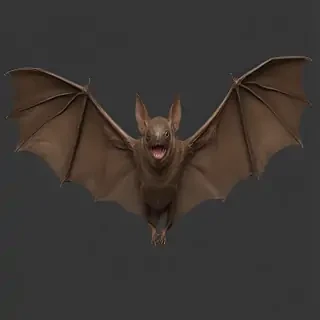bat png