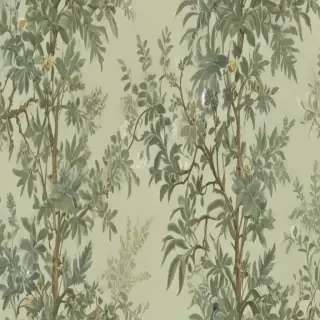 sage aesthetic wallpaper