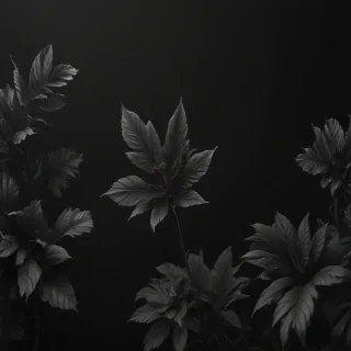 black aesthetic iphone wallpaper