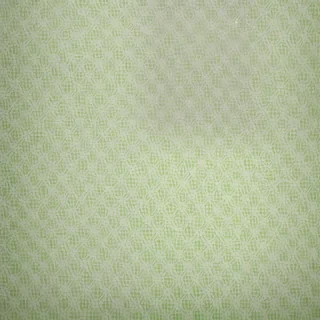 green & white background