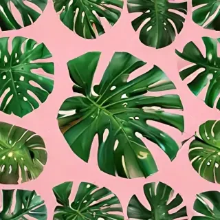 monstera png
