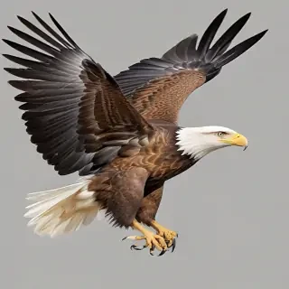 eagle fly png