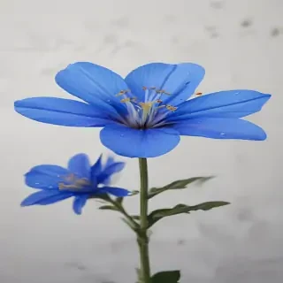 blue flower
