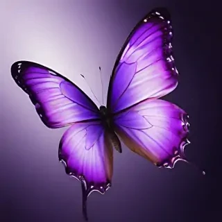 purple butterfly background