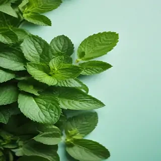 mint background