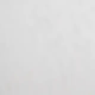 white bg