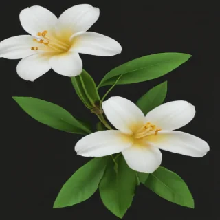 jasmine flower png