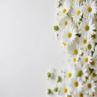 white flowers on white background