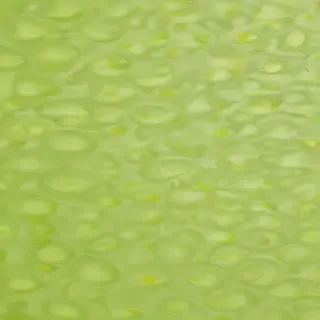 lime green background