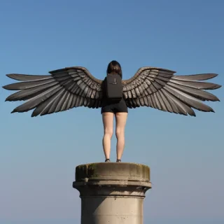 wings with background