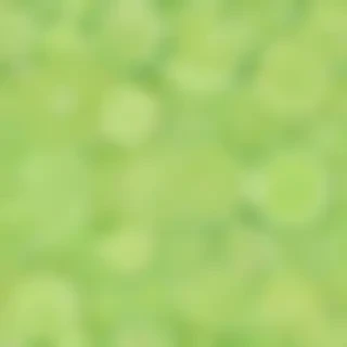 lime green background