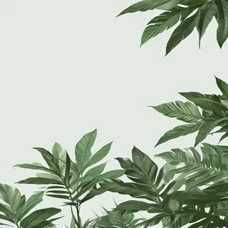 green aesthetic png