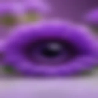 purple cute wallpaper