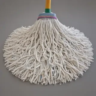 mop png