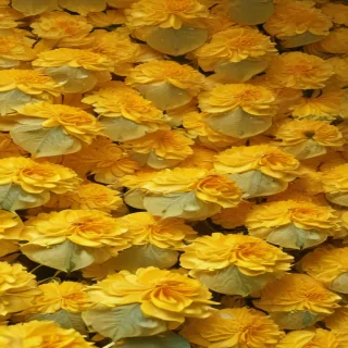 yellow aesthetic background