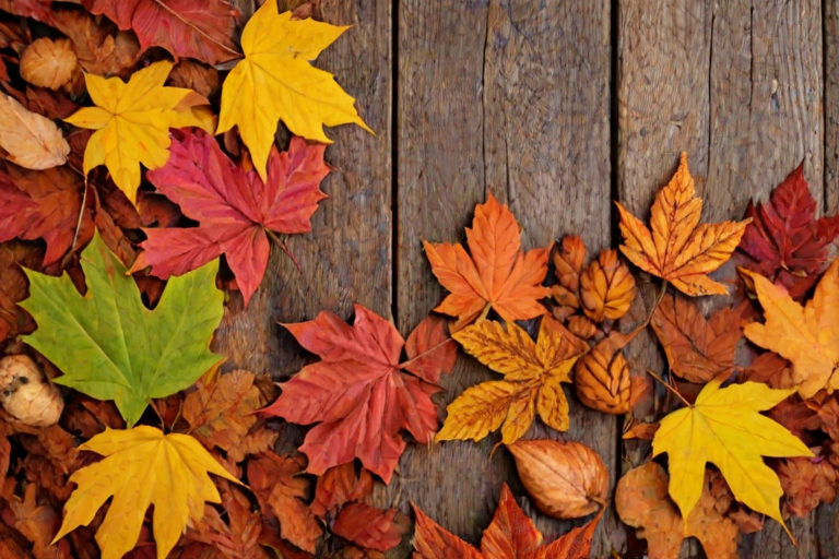 autumn background iphone