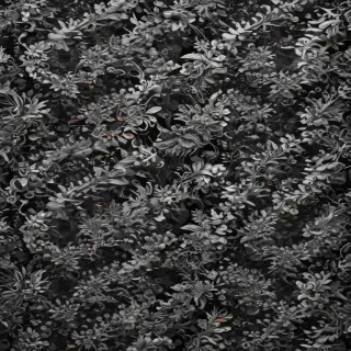 black and white pattern