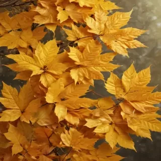 golden leaves background