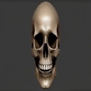 skull png transparent