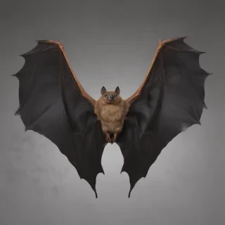 bat wings png
