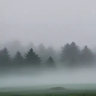 foggy background