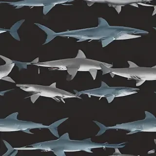 shark background