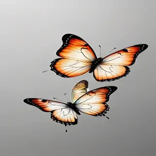butterfly background transparent