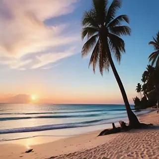 aesthetic beach pictures