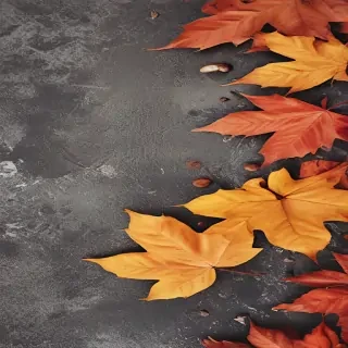 autumn background iphone