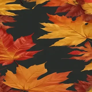 png fall leaves