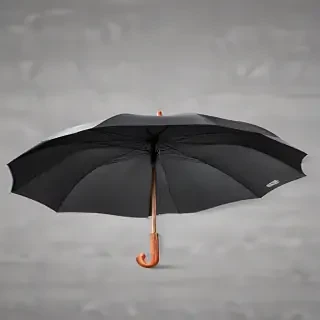 png umbrella