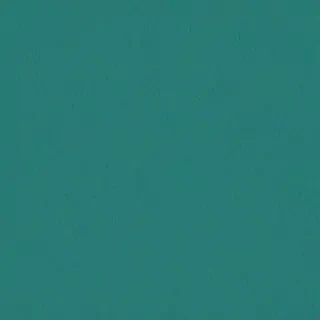 plain teal background