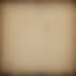 vintage texture overlay