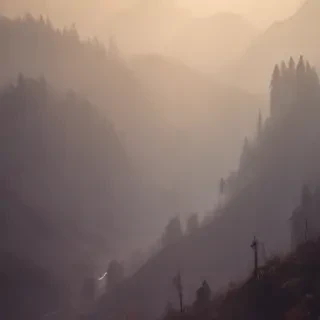 border bg