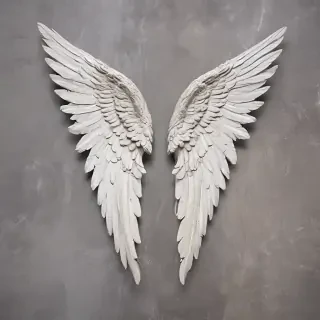 angel wing pictures