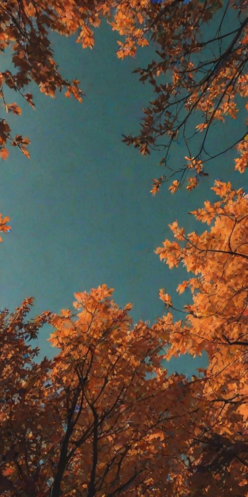 fall aesthetic wallpaper iphone
