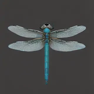dragonfly png